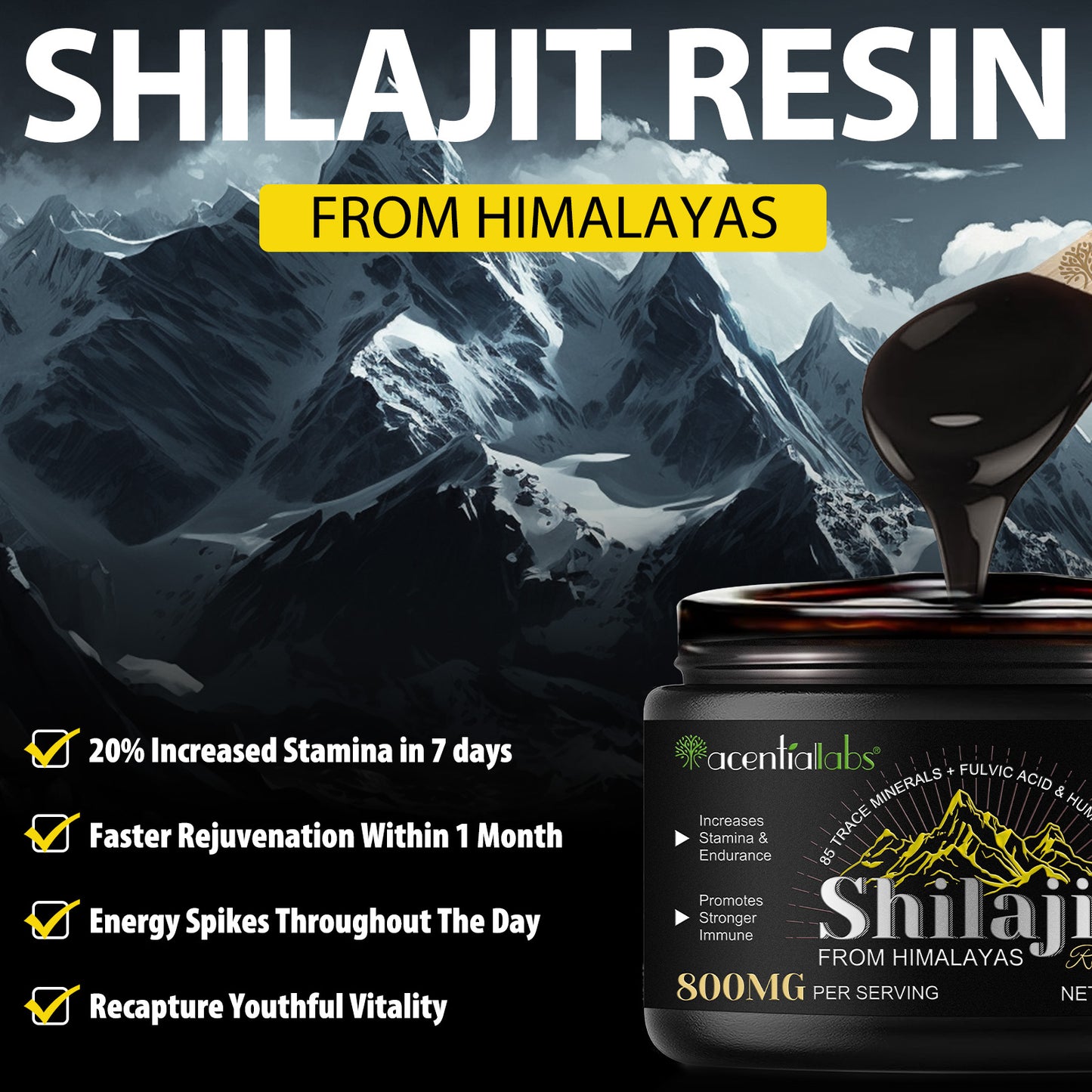 Shilajit Original Himalaya Bio, 60g Shilajit Resin Pures Himalaya Shilajit