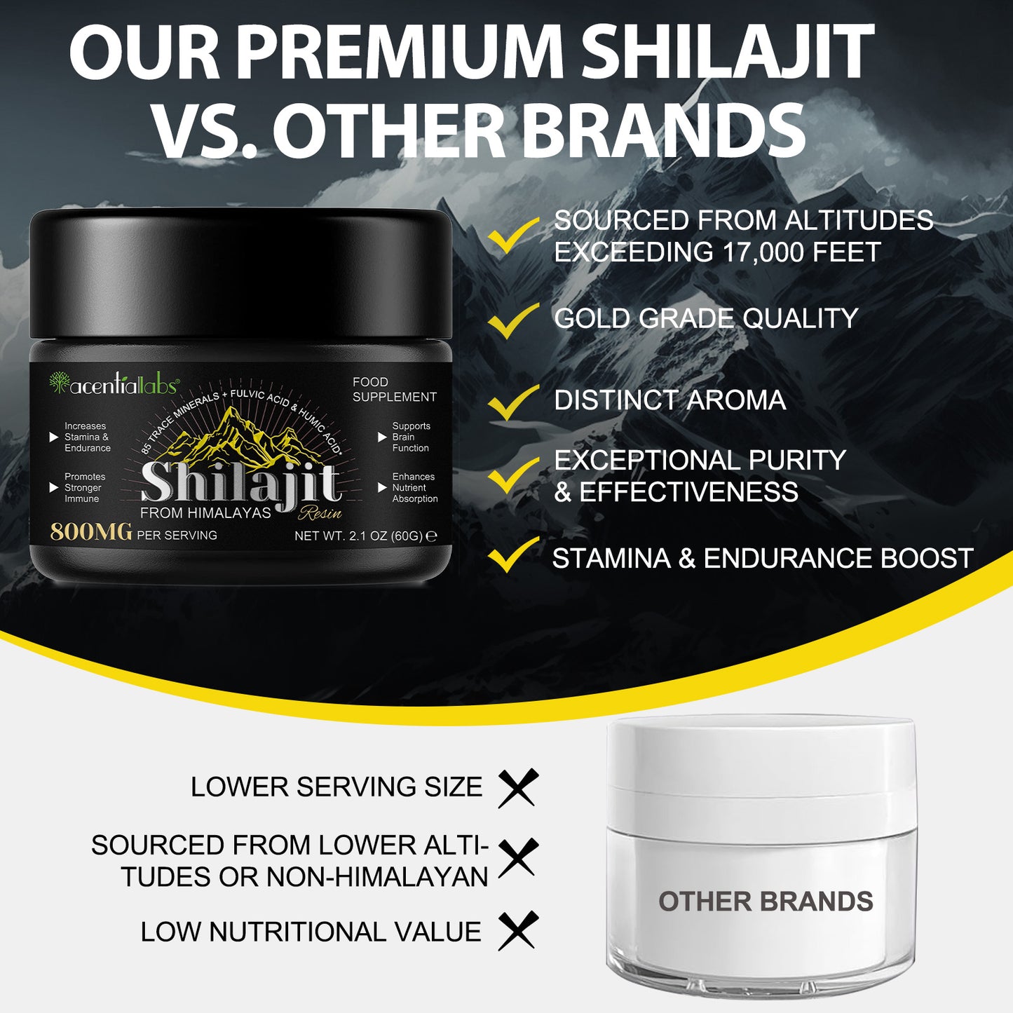 Shilajit Original Himalaya Bio, 60g Shilajit Resin Pures Himalaya Shilajit